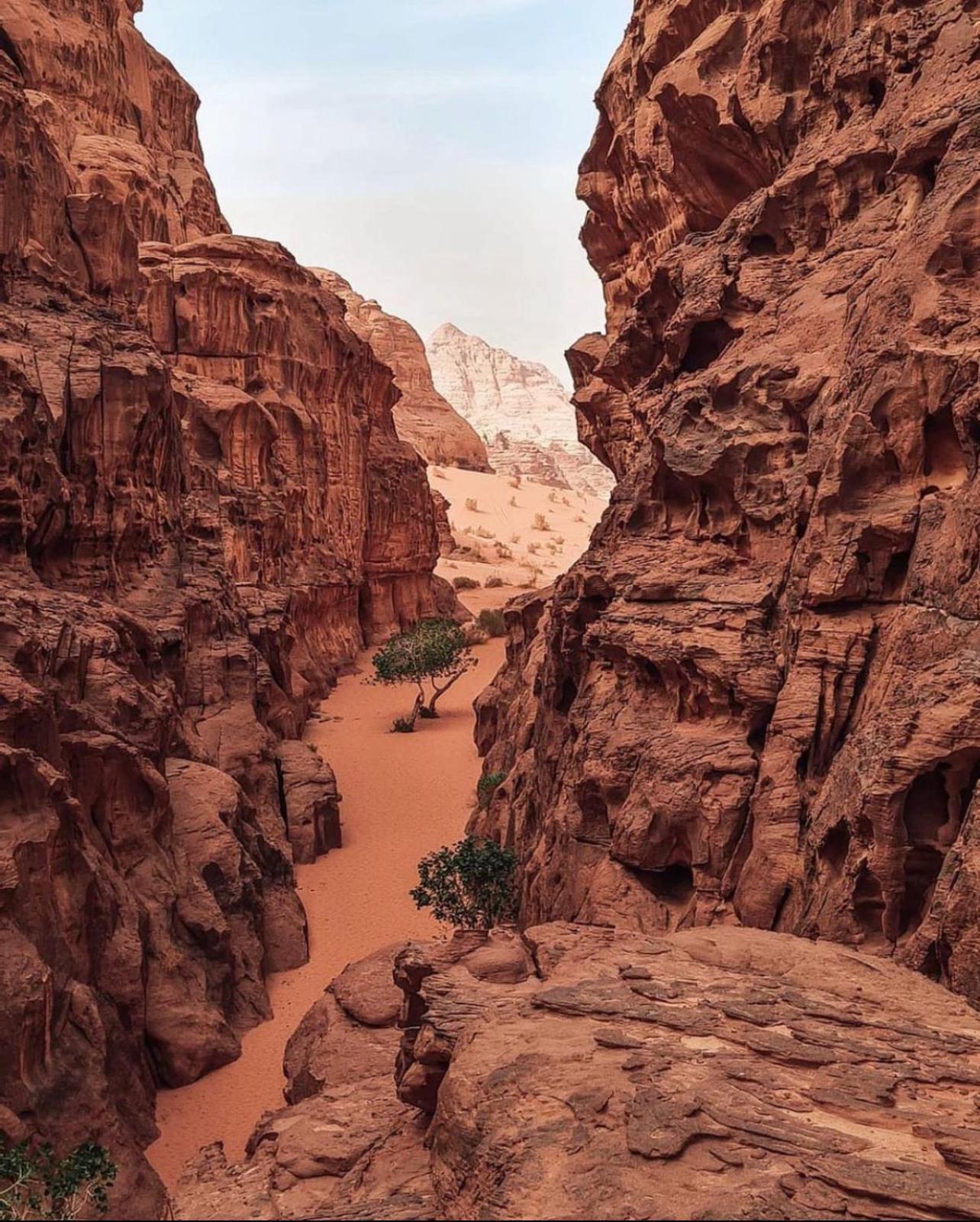 Rum Magic Luxury Camp Wadi Rum Eksteriør bilde